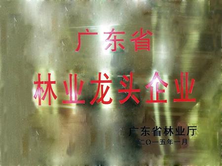    	         	2015年1月，红古轩当选为“广东省林业龙头企业”   